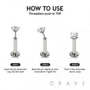 SEA TURTLE THREADLESS (PUSH IN) 316L SURGICAL STEEL LABRET