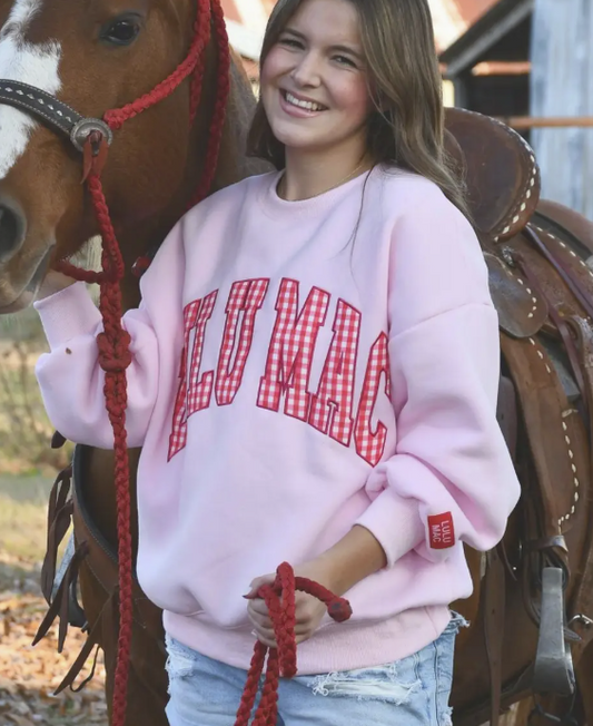 LuLu Mac Sweatshirt - Pink with Red Gingham