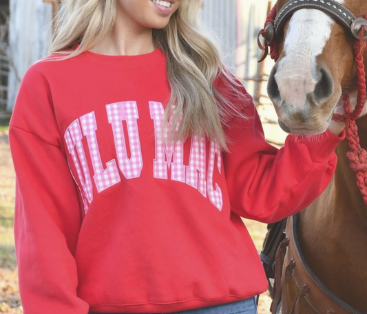 LuLu Mac Sweatshirt - Red with Pink Gingham